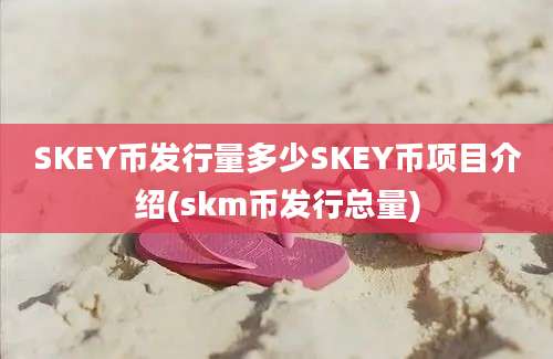 SKEY币发行量多少SKEY币项目介绍(skm币发行总量)