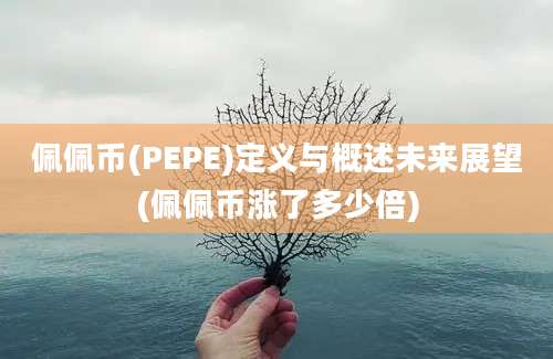 佩佩币(PEPE)定义与概述未来展望(佩佩币涨了多少倍)