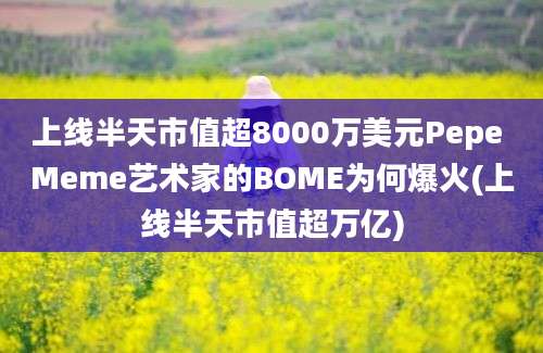 上线半天市值超8000万美元Pepe Meme艺术家的BOME为何爆火(上线半天市值超万亿)