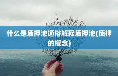 什么是质押池通俗解释质押池(质押的概念)