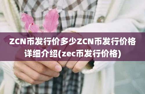 ZCN币发行价多少ZCN币发行价格详细介绍(zec币发行价格)