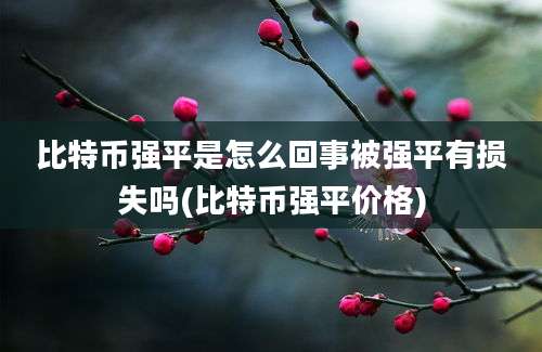 比特币强平是怎么回事被强平有损失吗(比特币强平价格)