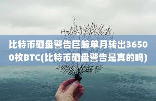 比特币砸盘警告巨鲸单月转出36500枚BTC(比特币砸盘警告是真的吗)