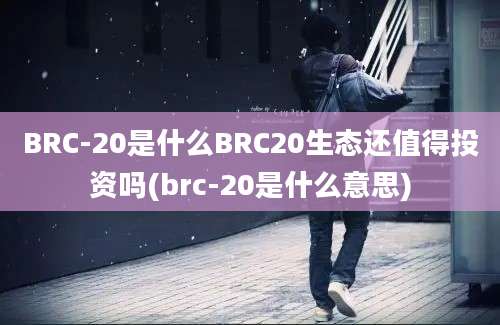 BRC-20是什么BRC20生态还值得投资吗(brc-20是什么意思)