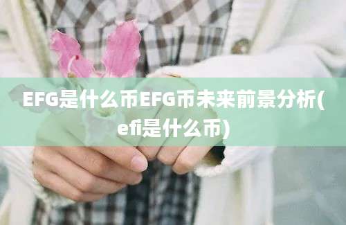 EFG是什么币EFG币未来前景分析(efi是什么币)