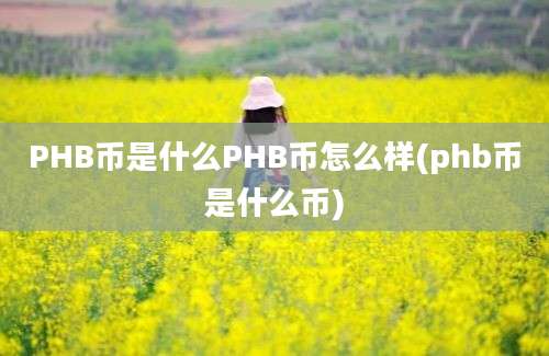 PHB币是什么PHB币怎么样(phb币是什么币)