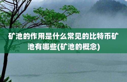 矿池的作用是什么常见的比特币矿池有哪些(矿池的概念)