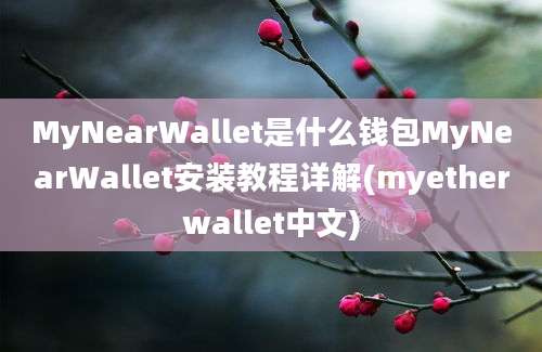 MyNearWallet是什么钱包MyNearWallet安装教程详解(myetherwallet中文)