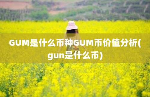 GUM是什么币种GUM币价值分析(gun是什么币)