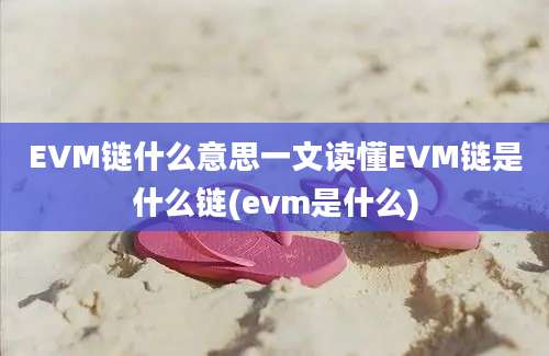 EVM链什么意思一文读懂EVM链是什么链(evm是什么)