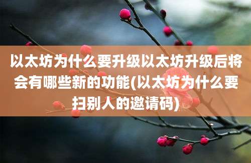 以太坊为什么要升级以太坊升级后将会有哪些新的功能(以太坊为什么要扫别人的邀请码)