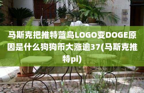 马斯克把推特蓝鸟LOGO变DOGE原因是什么狗狗币大涨逾37(马斯克推特pi)