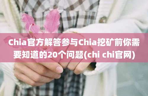 Chia官方解答参与Chia挖矿前你需要知道的20个问题(chi chi官网)