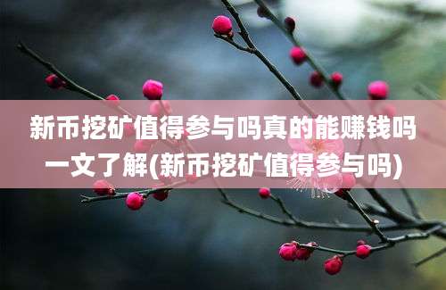 新币挖矿值得参与吗真的能赚钱吗一文了解(新币挖矿值得参与吗)