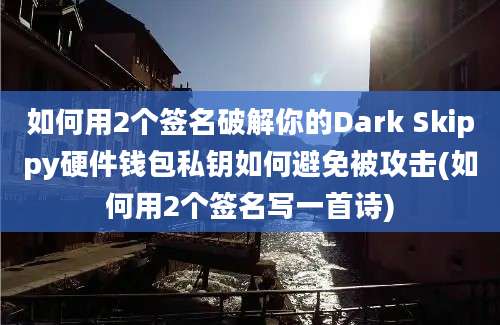 如何用2个签名破解你的Dark Skippy硬件钱包私钥如何避免被攻击(如何用2个签名写一首诗)