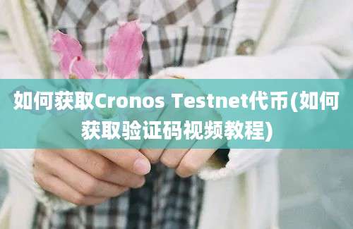 如何获取Cronos Testnet代币(如何获取验证码视频教程)