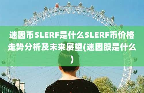 迷因币SLERF是什么SLERF币价格走势分析及未来展望(迷因股是什么)