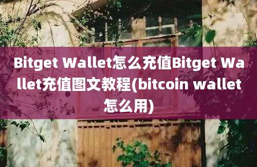 Bitget Wallet怎么充值Bitget Wallet充值图文教程(bitcoin wallet怎么用)