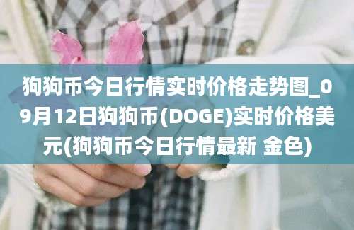 狗狗币今日行情实时价格走势图_09月12日狗狗币(DOGE)实时价格美元(狗狗币今日行情最新 金色)