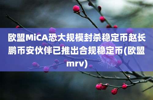 欧盟MiCA恐大规模封杀稳定币赵长鹏币安伙伴已推出合规稳定币(欧盟mrv)