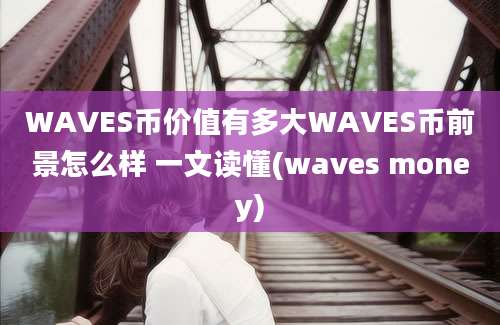 WAVES币价值有多大WAVES币前景怎么样 一文读懂(waves money)