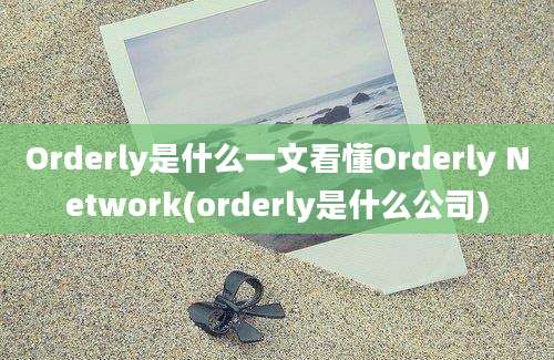 Orderly是什么一文看懂Orderly Network(orderly是什么公司)