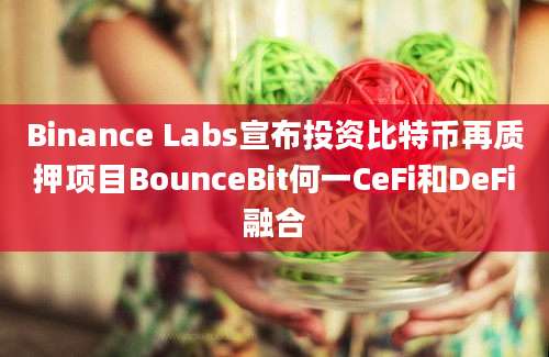 Binance Labs宣布投资比特币再质押项目BounceBit何一CeFi和DeFi融合