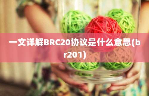 一文详解BRC20协议是什么意思(br201)