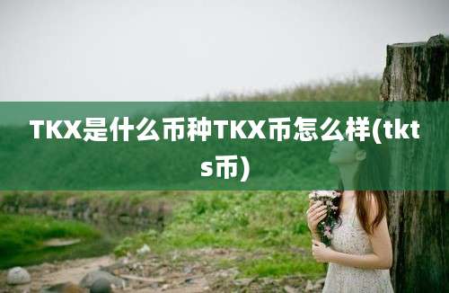 TKX是什么币种TKX币怎么样(tkts币)