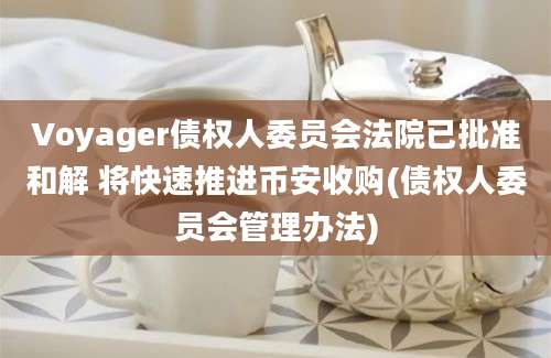 Voyager债权人委员会法院已批准和解 将快速推进币安收购(债权人委员会管理办法)