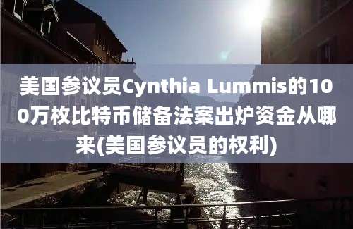 美国参议员Cynthia Lummis的100万枚比特币储备法案出炉资金从哪来(美国参议员的权利)