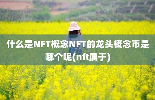 什么是NFT概念NFT的龙头概念币是哪个呢(nft属于)