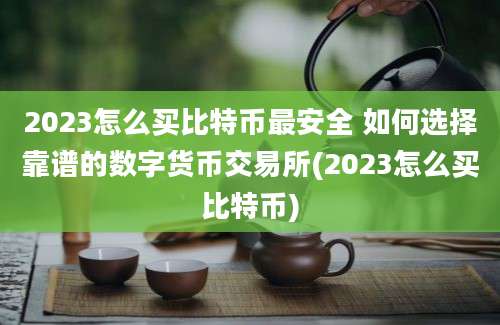 2023怎么买比特币最安全 如何选择靠谱的数字货币交易所(2023怎么买比特币)