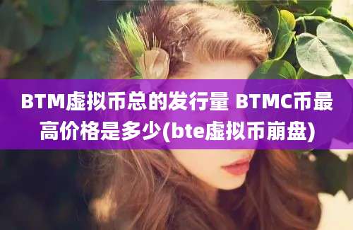 BTM虚拟币总的发行量 BTMC币最高价格是多少(bte虚拟币崩盘)