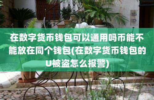 在数字货币钱包可以通用吗币能不能放在同个钱包(在数字货币钱包的U被盗怎么报警)