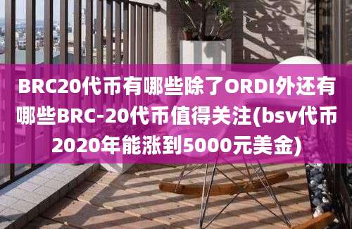 BRC20代币有哪些除了ORDI外还有哪些BRC-20代币值得关注(bsv代币2020年能涨到5000元美金)