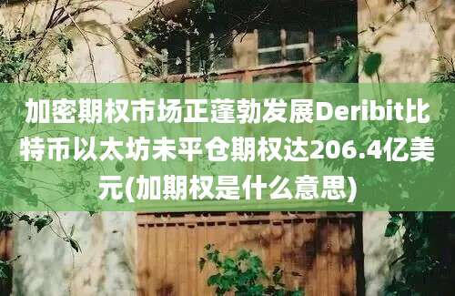 加密期权市场正蓬勃发展Deribit比特币以太坊未平仓期权达206.4亿美元(加期权是什么意思)