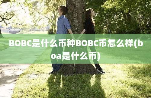 BOBC是什么币种BOBC币怎么样(boa是什么币)