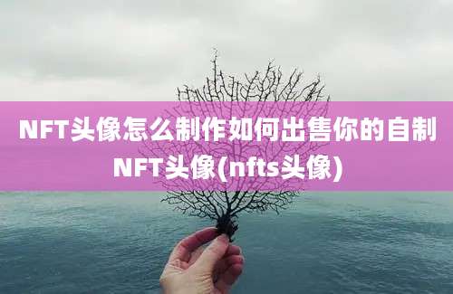 NFT头像怎么制作如何出售你的自制NFT头像(nfts头像)