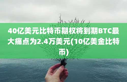 40亿美元比特币期权将到期BTC最大痛点为2.4万美元(10亿美金比特币)