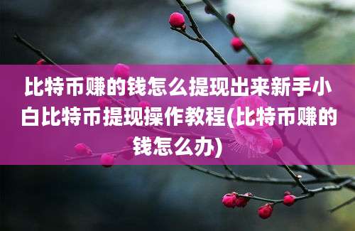 比特币赚的钱怎么提现出来新手小白比特币提现操作教程(比特币赚的钱怎么办)