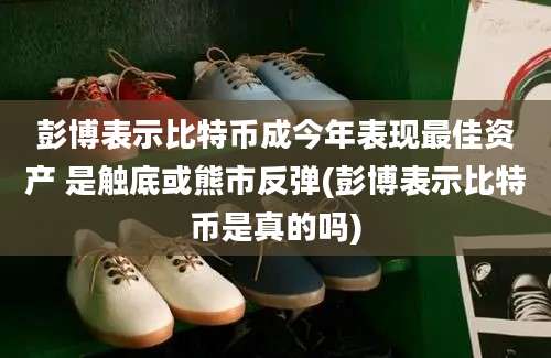 彭博表示比特币成今年表现最佳资产 是触底或熊市反弹(彭博表示比特币是真的吗)