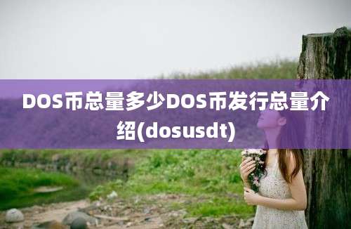 DOS币总量多少DOS币发行总量介绍(dosusdt)