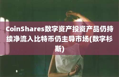 CoinShares数字资产投资产品仍持续净流入比特币仍主导市场(数字杉斯)