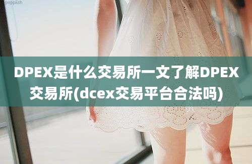 DPEX是什么交易所一文了解DPEX交易所(dcex交易平台合法吗)