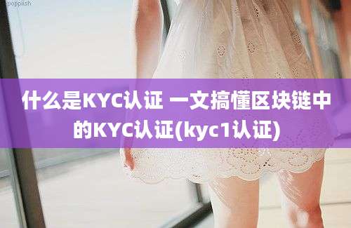 什么是KYC认证 一文搞懂区块链中的KYC认证(kyc1认证)