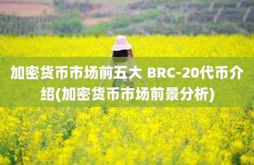 加密货币市场前五大 BRC-20代币介绍(加密货币市场前景分析)