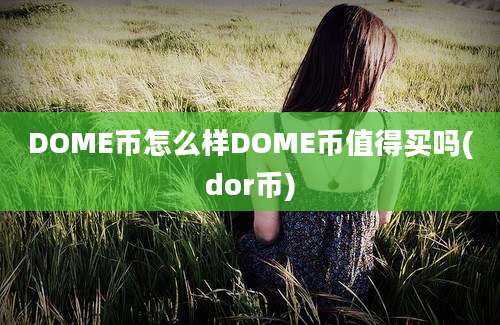 DOME币怎么样DOME币值得买吗(dor币)