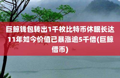 巨鲸钱包转出1千枚比特币休眠长达11年如今价值已暴涨逾5千倍(巨鲸借币)