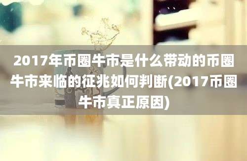 2017年币圈牛市是什么带动的币圈牛市来临的征兆如何判断(2017币圈牛市真正原因)